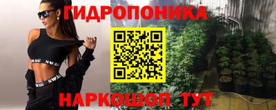 a pvp Кунгур