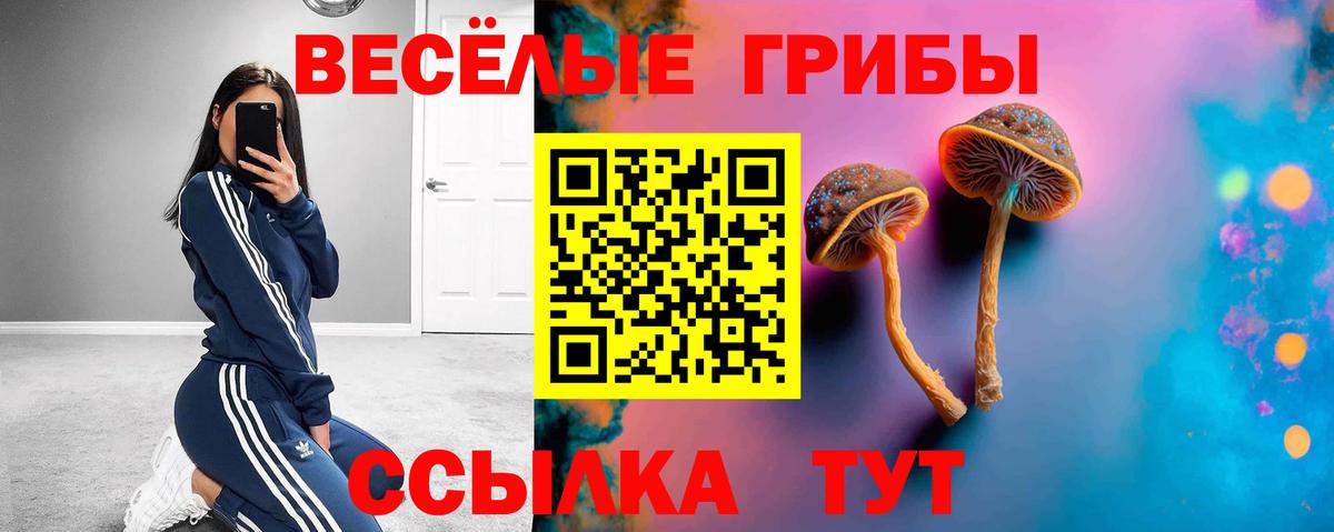 Зима  закладки  Галлюциногенные грибы GOLDEN TEACHER  Вход с VPN  Псилоцибиновые грибы MAGIC MUSHROOMS 